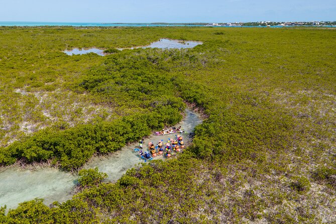 2 Hours Clear Kayaking Activity on Mangrove Cay - Key Highlights You’ll Actually Care About