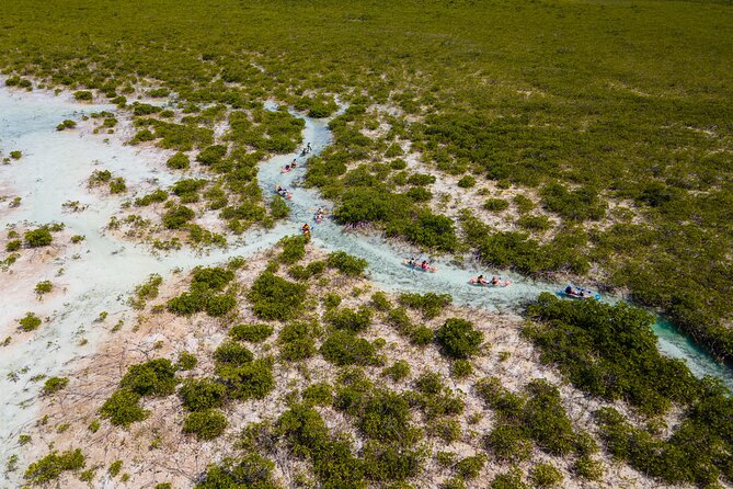 2 Hours Clear Kayaking Activity on Mangrove Cay - The 2-Hour Paddling Rhythm in Plain English