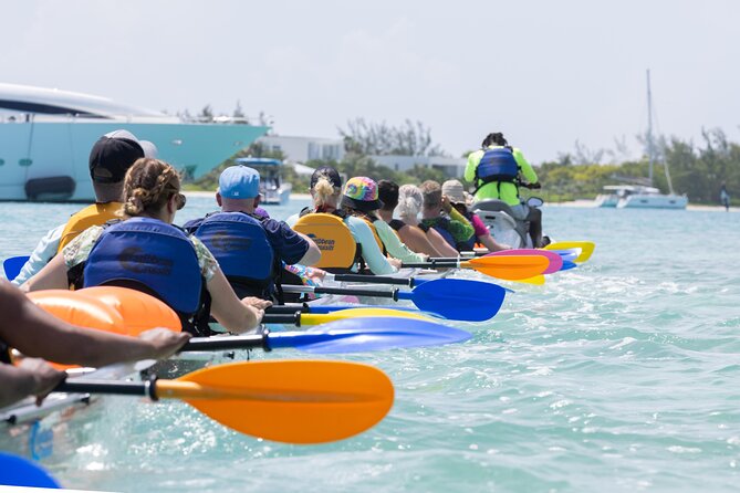 2 Hours Clear Kayaking Activity on Mangrove Cay - Kayaks, Water Conditions, and That Real-Life Chop Issue