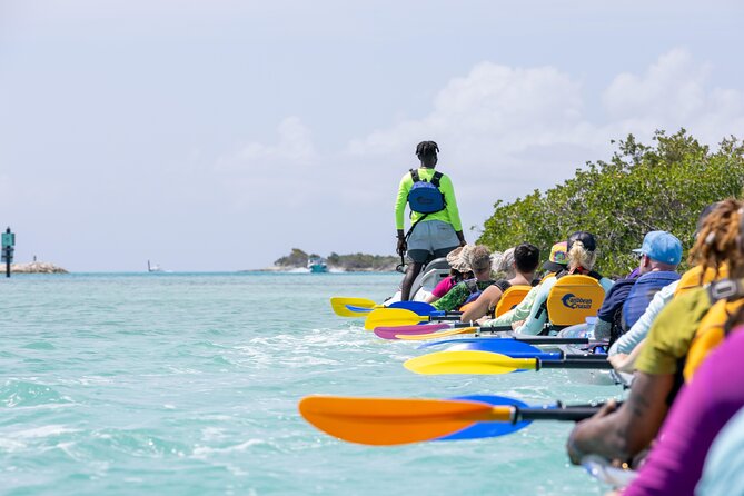 2 Hours Clear Kayaking Activity on Mangrove Cay - Getting There: Caribbean Cruisin, the Ferry Area, and Taxi Costs