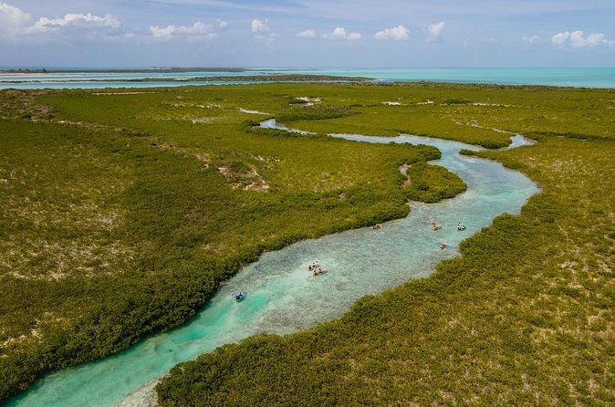2 Hours Clear Kayaking Activity on Mangrove Cay - Price and Value: Is $125 for Two Hours Fair?