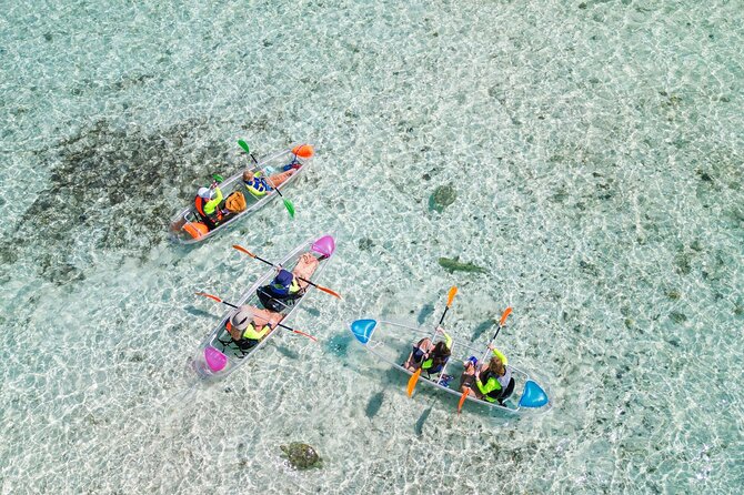 3HR Clear Kayak Mangrove and iguana island Tour in Leeward - Key takeaways before you go