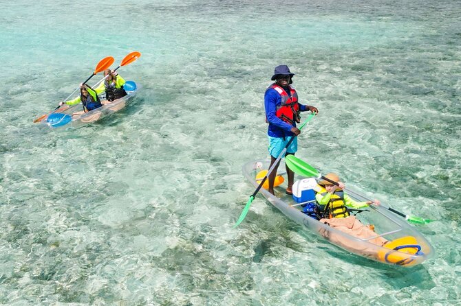 3HR Clear Kayak Mangrove and iguana island Tour in Leeward - Mangrove Cay: Why This Tour Works So Well