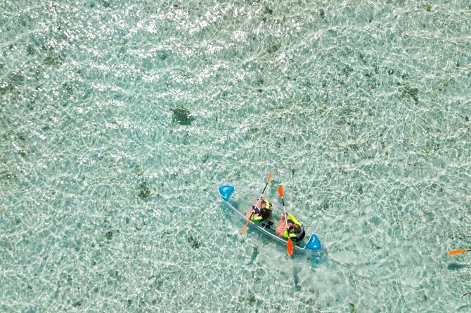 3HR Clear Kayak Mangrove and iguana island Tour in Leeward - The Jet Ski Tow Factor: How the Trip Really Moves