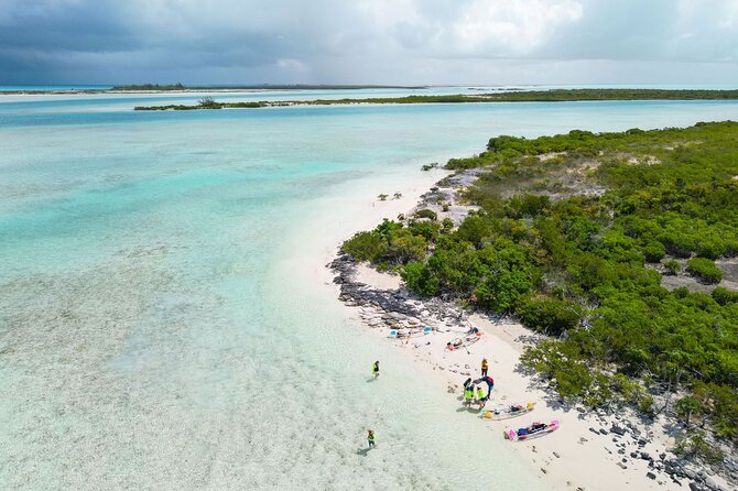 3HR Clear Kayak Mangrove and iguana island Tour in Leeward - Value and Price: Is $155 Worth It?