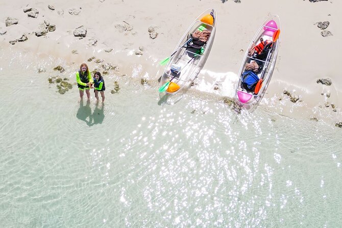 3HR Clear Kayak Mangrove and iguana island Tour in Leeward - Little Water Cay and Iguana Island: The Closest Look at Rock Iguanas