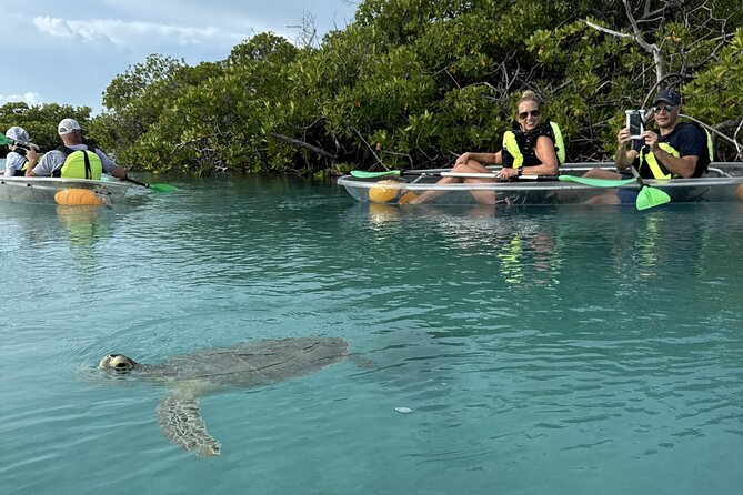 3hr Clear Kayak Tour of Mangroves, Marine Life and Iguanas - Key things I’d plan for