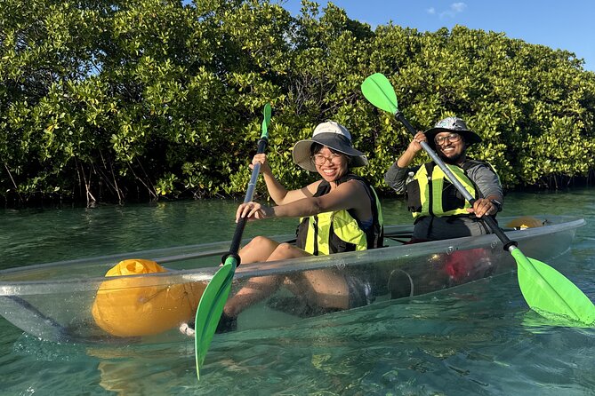 3hr Clear Kayak Tour of Mangroves, Marine Life and Iguanas - Why Clear-Water Spotting Feels Different (And How to Get More From It)