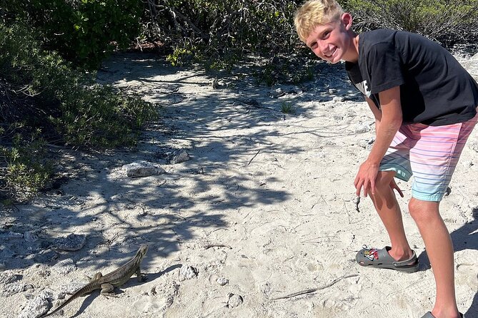 3hr Clear Kayak Tour of Mangroves, Marine Life and Iguanas - Timing That Makes Sense: 3 Hours Without Feeling Cramped