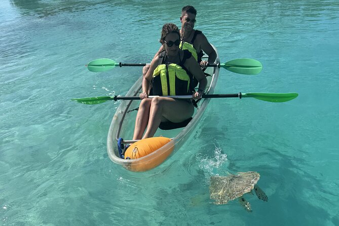 3hr Clear Kayak Tour of Mangroves, Marine Life and Iguanas - Pickup, Meeting Point, and Getting There Without Stress