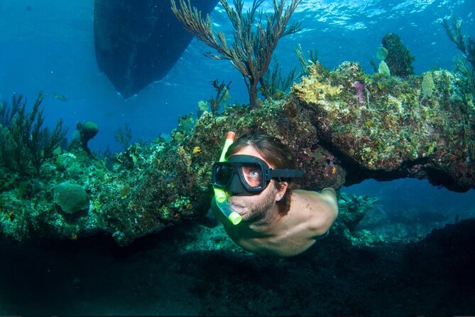3HR Emerald reef snorkeling, iguana island and shipwreck tour - Key Points You Should Know Before You Go