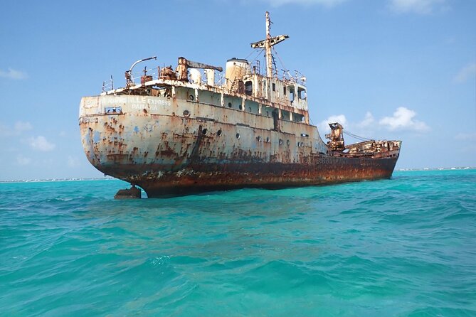 3HR Emerald reef snorkeling, iguana island and shipwreck tour - Three Hours Over Emerald Reef, the La Famille Express, and Iguanas