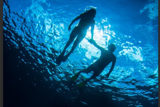 3HR Emerald reef snorkeling, iguana island and shipwreck tour - Emerald Reef Snorkeling: Clear Water, Coral, and a Crew That Guides