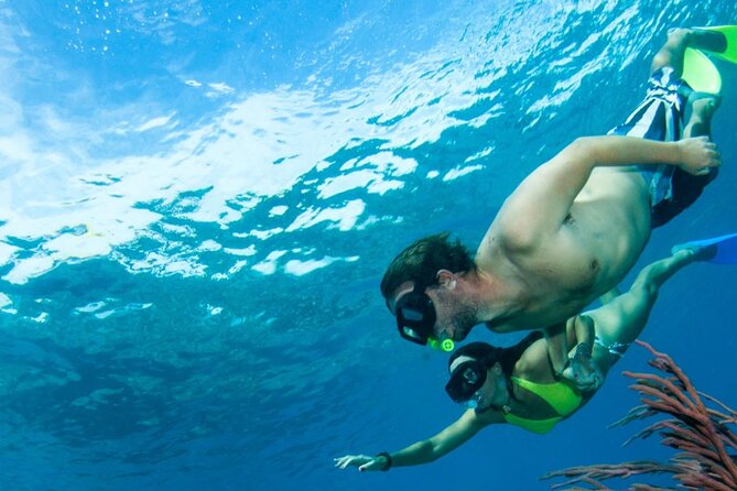 3HR Emerald reef snorkeling, iguana island and shipwreck tour - Little Water Cay and Iguana Island: Nature Up Close in 45 Minutes