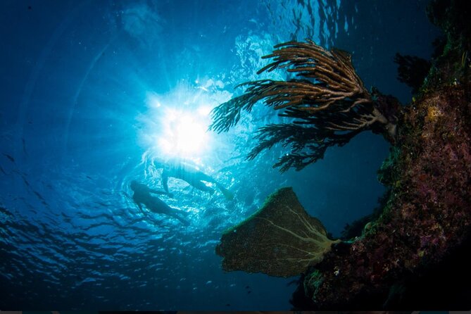 3HR Emerald reef snorkeling, iguana island and shipwreck tour - What Can Go Wrong (And How to Be Ready)