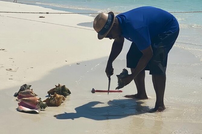 3hr Seaside Scavenger hunt - Quick hits: what makes this hunt worth your morning