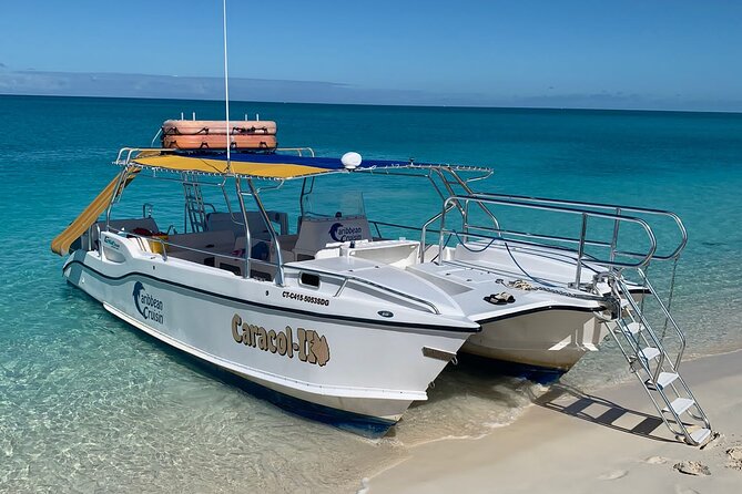 3HR Snuba, shipwreck and Iguana island tour - Little Water Cay and Iguana Island: your last 45 minutes