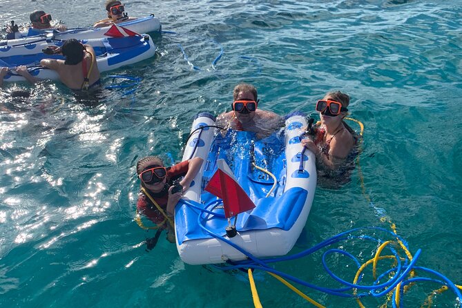 3HR Snuba, shipwreck and Iguana island tour - Emerald Reef: why the timing and water clarity matter
