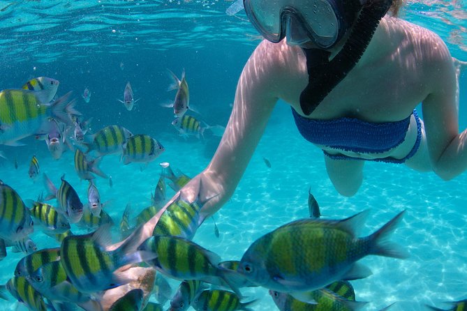 4-Hour Catamaran Sail and Snorkel Tour from Grace Bay - Half Moon Bay or Little Water Cay: Iguanas, Short Nature Walking, and Beach Time