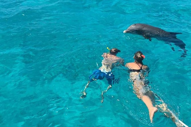 4 Hour Private Catamaran Sail and Snorkel from Grace Bay Beach, Providenciales - Snorkeling the coral reef: how to make your time in the water count