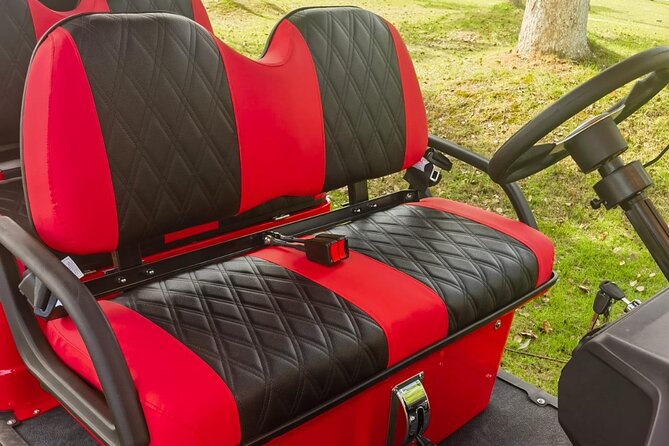 4 Seater Luxury Golf Carts Rental in Grand Turk - What You Get in the Cart: Comfort, Tech, and Weather-Ready Touches