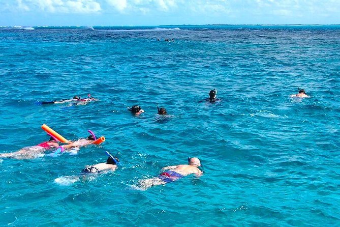 4hour Group Half Day Snorkeling Excursion in Grace Bay - Key Points at a Glance