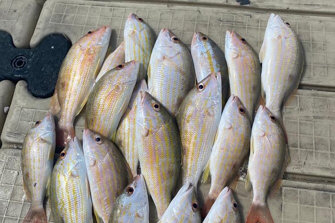 4HR-Halfday Private Fishing Tour in Gracebay - On-board comfort: drinks, snacks, and free Wi‑Fi that actually help