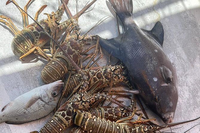 4HR-Halfday Private Fishing Tour in Gracebay - The crew vibe: why the boat experience matters as much as the fish