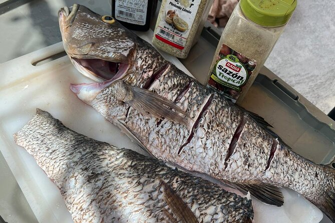 4HR-Halfday Private Fishing Tour in Gracebay - Pickup and meeting at 8:30am: keeping the logistics painless