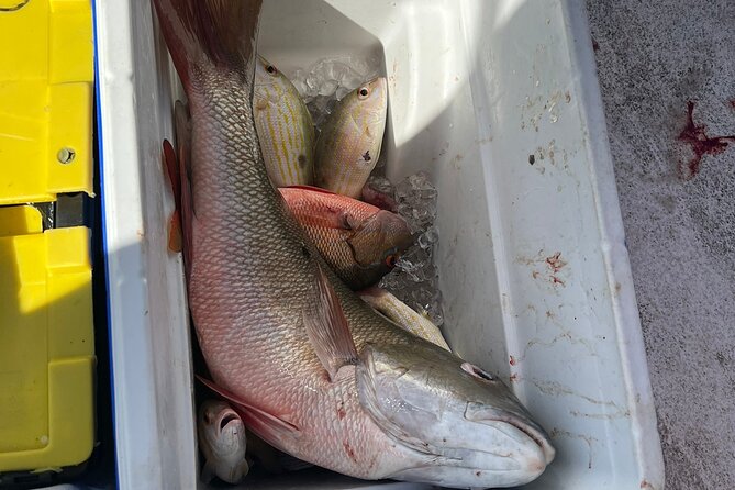 4HR-Halfday Private Fishing Tour in Gracebay - What’s included vs not included (and what to plan for)