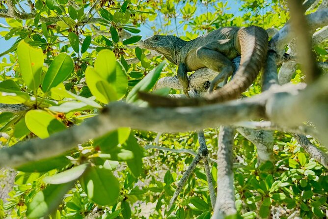 4HR Private Half-day Boat in Gracebay - Private Grace Bay Boat Time: Why It’s Worth Paying for “Not-Crowded”