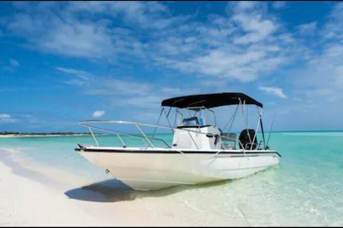 4HR-Private Half-Day Exploration in Gracebay - Key Points You’ll Care About