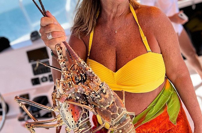 4HR-Private Half-Day Exploration in Gracebay - Conch Hunting and Shell Time Without the Awkward Parts