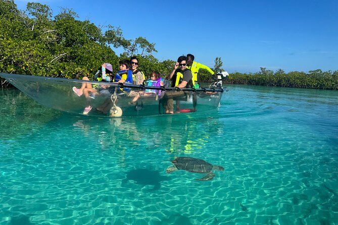 6-Passenger Motorized Clear Kayak Mangrove Tour in Providenciales - Key highlights you’ll care about