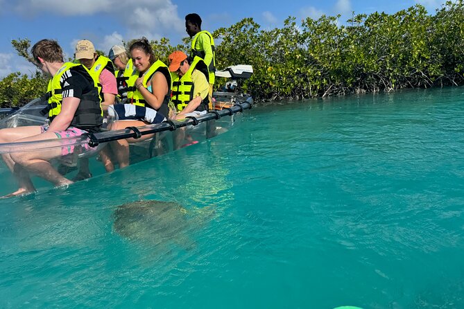 6-Passenger Motorized Clear Kayak Mangrove Tour in Providenciales - Motorized clear kayak: what changes when you stop paddling