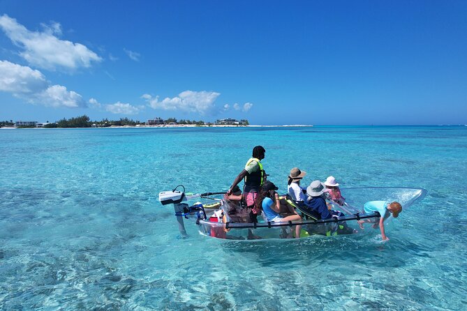 6-Passenger Motorized Clear Kayak Mangrove Tour in Providenciales - Wildlife watching with the right expectations (and an easy workflow)