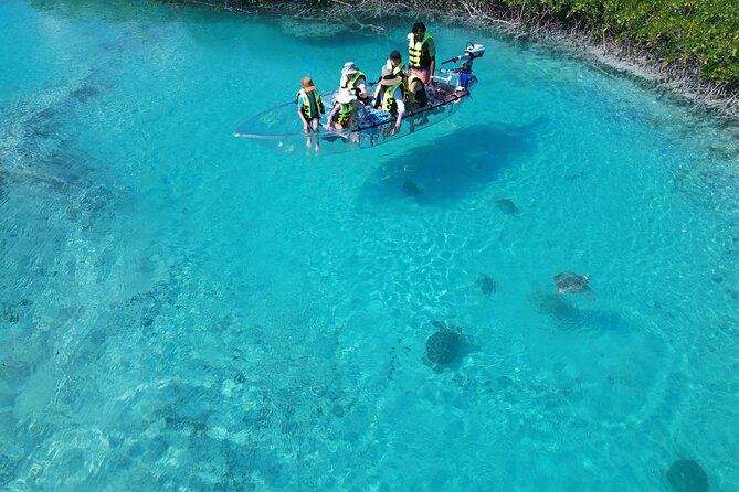 6-Passenger Motorized Clear Kayak Mangrove Tour in Providenciales - What’s included (and what to plan for yourself)