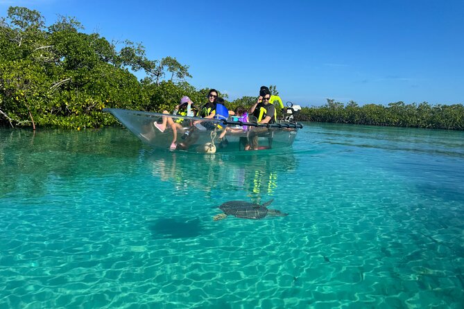 6-Passenger Motorized Clear Kayak Mangrove Tour in Providenciales - Price for a private group of up to six: where the value comes from