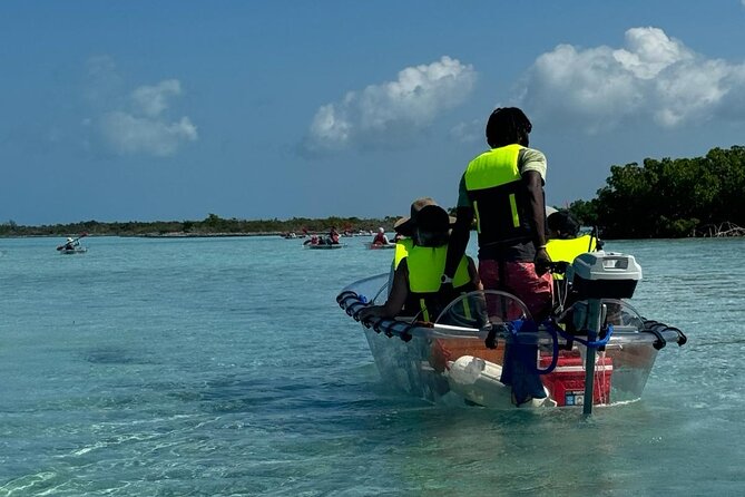 6-Passenger Motorized Clear Kayak Mangrove Tour in Providenciales - Practical tips for your best photos and easiest ride