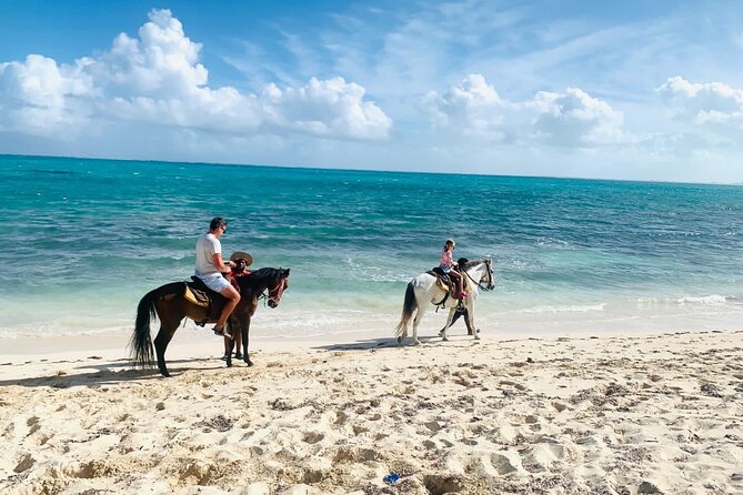 60-Minute Private Horseback Riding Experience in Turks and Caicos - Price and logistics: is $300 per person good value?