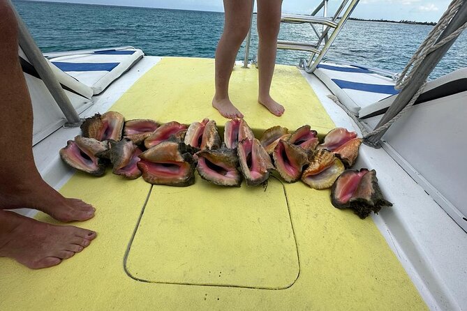 6HR-Provo Cays exploration with Lunch in Gracebay - Sandbar finish and why the timing often hits right