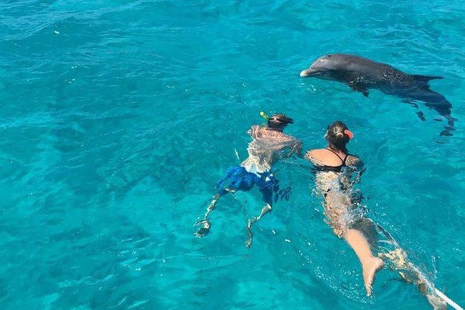 7 Hour Private Catamaran Sail, Snorkel and Beach BBQ Grace Bay, Providenciales - Snorkel the barrier reef off Grace Bay: what you’ll actually see