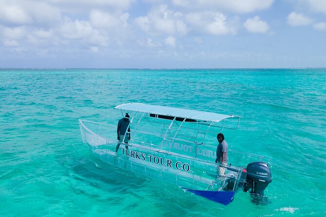 75 Minutes Clear Boat Tour in Caicos Island - A 100% Clear Boat Tour That Changes How You See the Reef