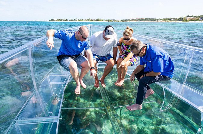 75 Minutes Clear Boat Tour in Caicos Island - Boat Comfort and the Photo-First Layout