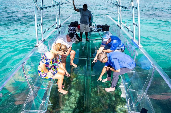 75 Minutes Clear Boat Tour in Caicos Island - Should You Book This Clear Boat Tour?