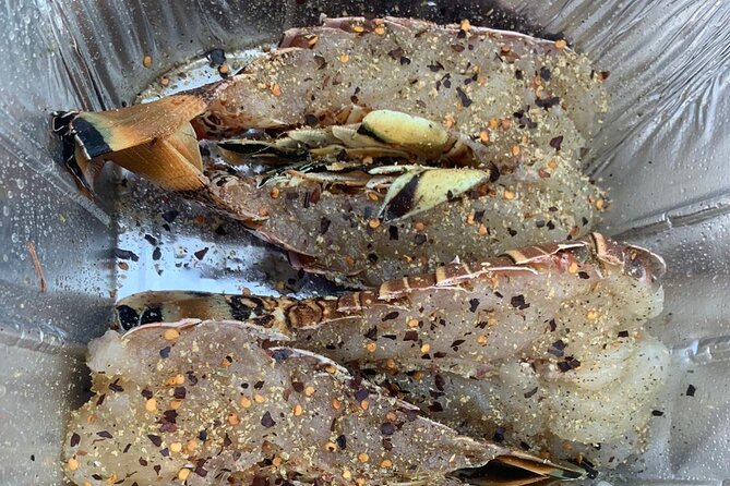 8HR Catch and Grill in Turks and Caicos Islands - Snorkeling Time Around the La Famille Express Shipwreck
