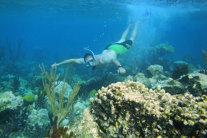 8HR Fullday Private Boat in Gracebay - Fort George Cay relaxation: shell hunting and captain-prepped food