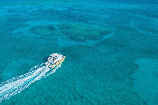Afternoon Half Day Cruise from Providenciales with Snorkeling and Iguana Island - Key Points You Should Know Before You Go