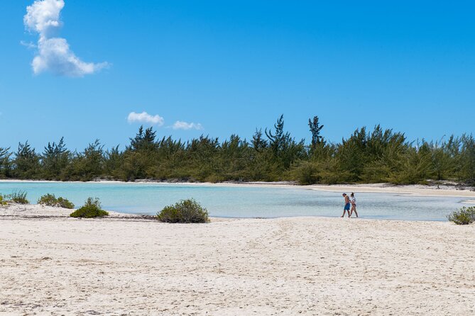 Afternoon Half Day Cruise from Providenciales with Snorkeling and Iguana Island - Iguana Island: Rock Iguanas, Two Ocean Sides, and Photo Time