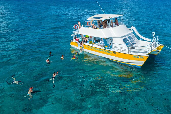 Afternoon Half Day Cruise from Providenciales with Snorkeling and Iguana Island - Lunch, Rum Punch, and Drinks: What’s Included and What It Means